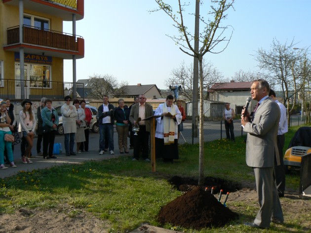 Posadzili drzewo życia dla Papieża