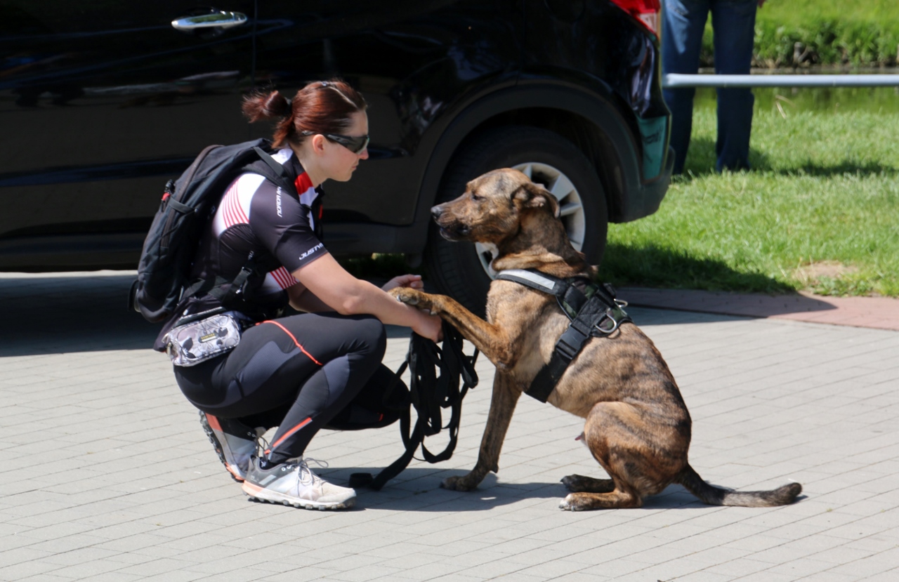 Pomorski Puchar Dogtrekkingu